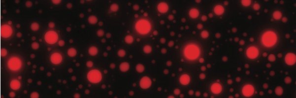 MariaHondele Profile Banner