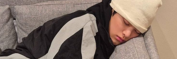 dai🐻 banner