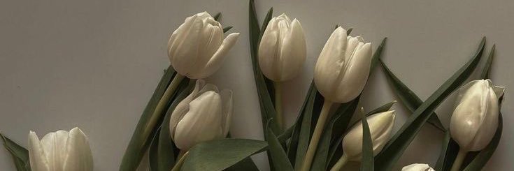 rumii42_'s profile banner image