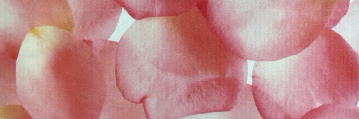 vv banner