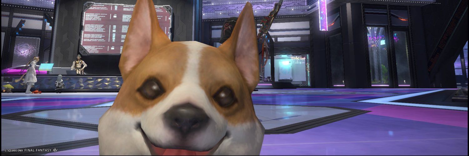 dimlos_timber's profile banner image