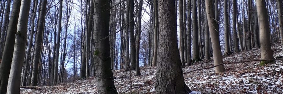 NataliePatalie3's profile banner image