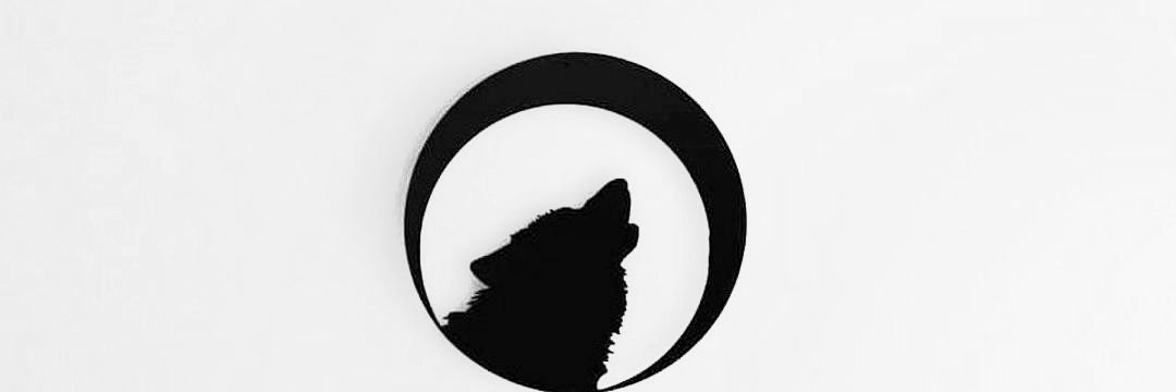 nasircebi's profile banner image