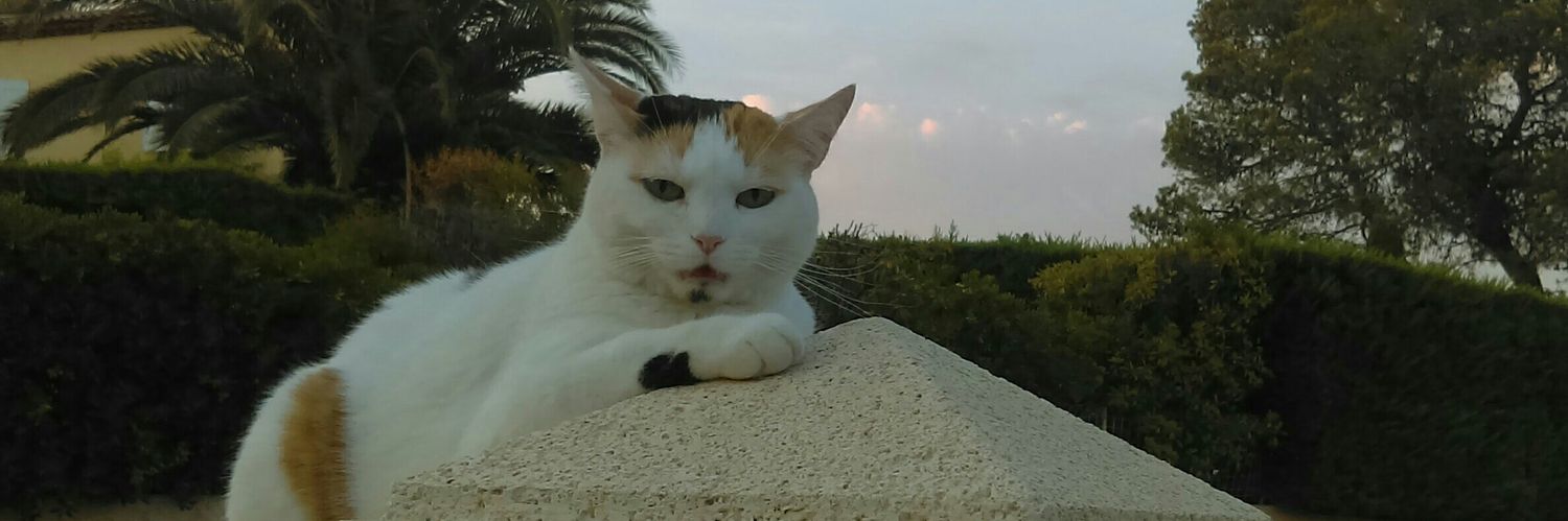 LescJean's profile banner image