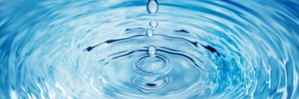 🎪すわこっこ🐾🐘🍎 banner