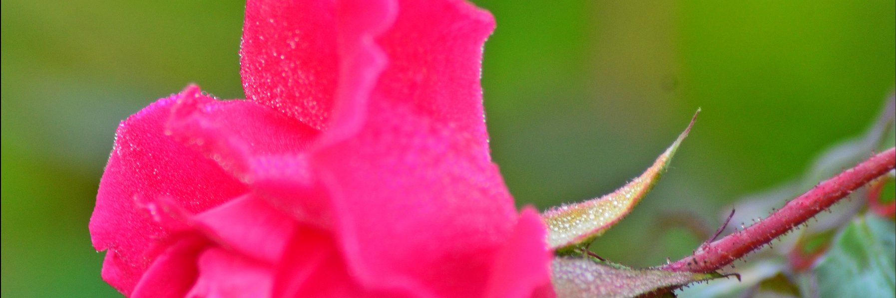 arvindkatoch's profile banner image