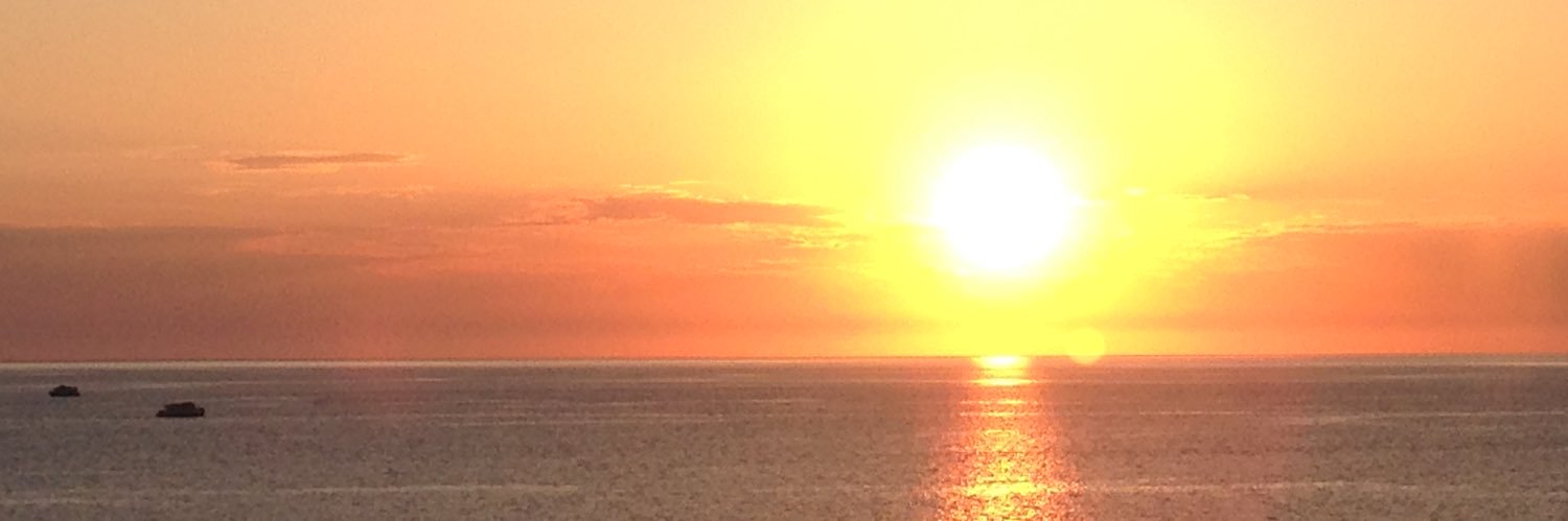 Silvianow's profile banner image