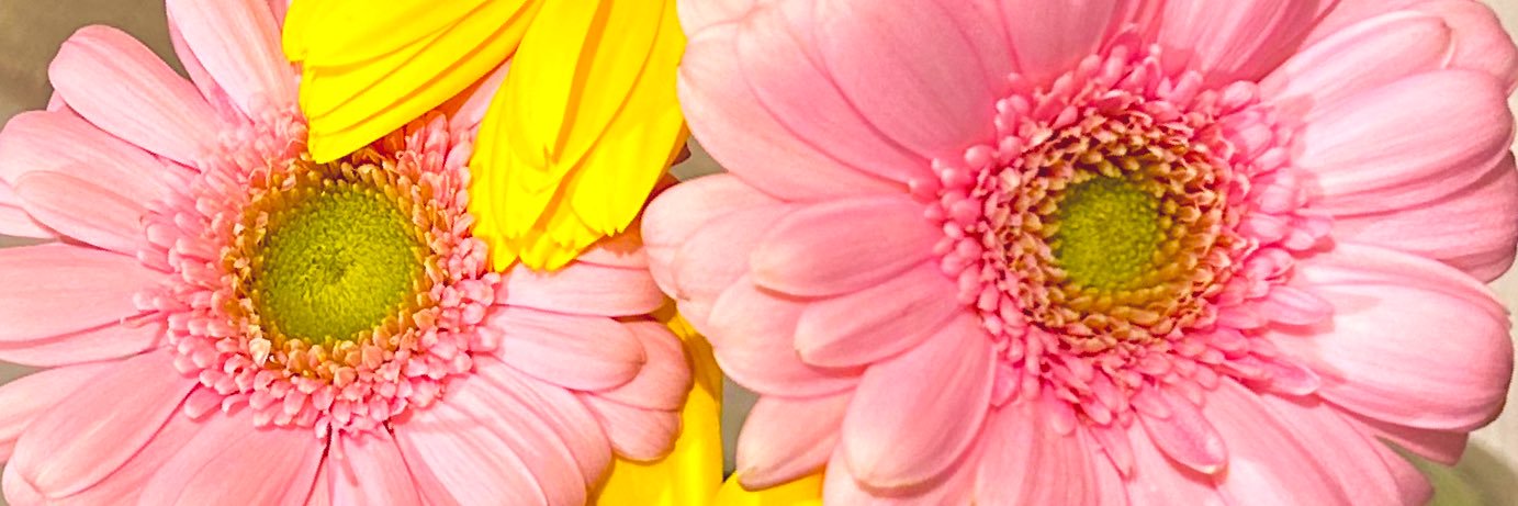 rim_1s2's profile banner image