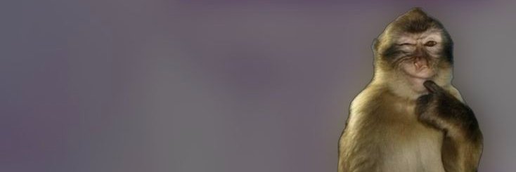 gbzin_A's profile banner image