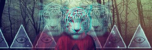 hec_torito's profile banner image