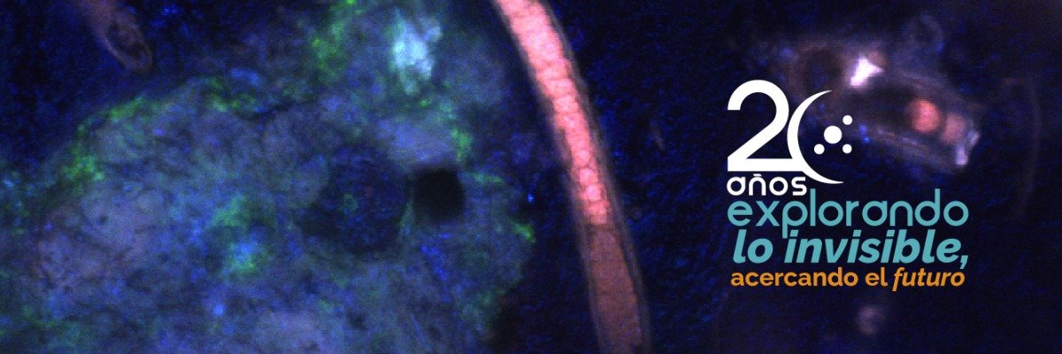 Sociedad Argentina de Microbiología General-SAMIGE banner