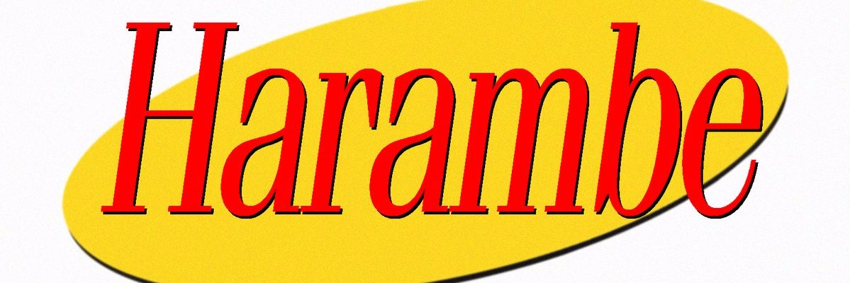 DickSeinfeld's profile banner image