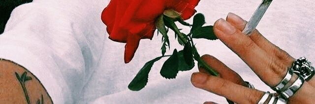 vmindevilx's profile banner image