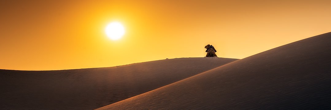 schmid_nick's profile banner image