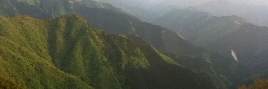 mintcoo78's profile banner image