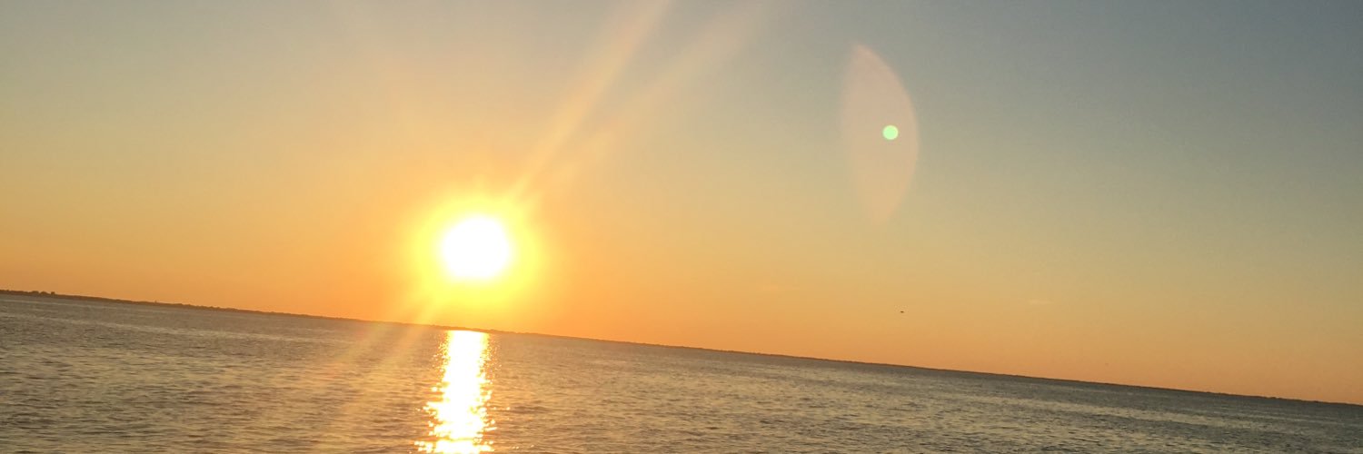 rrremington's profile banner image