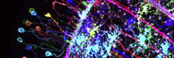 Gz_Sancer Profile Banner