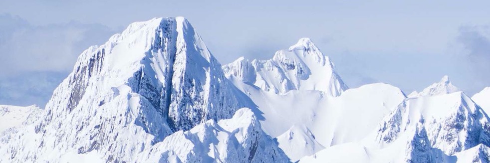 Danielle Henry banner