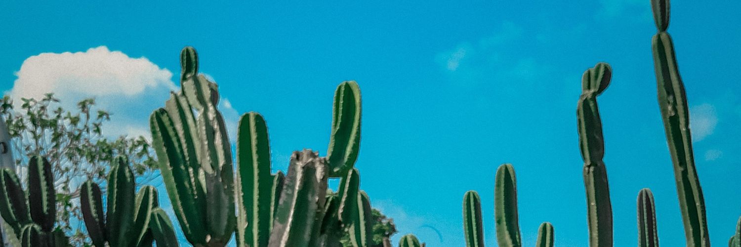 putryrahma23's profile banner image