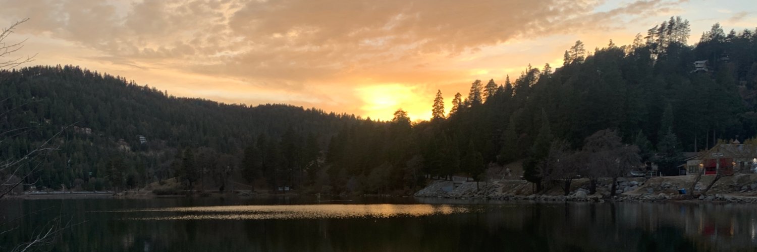 Micki Krimmel banner