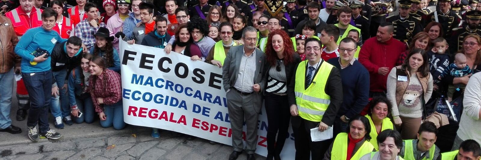FECOSEVILLA banner