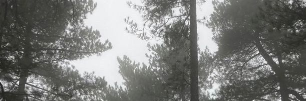swifttaylorrain's profile banner image