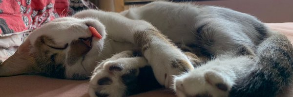 jaannaabc Profile Banner