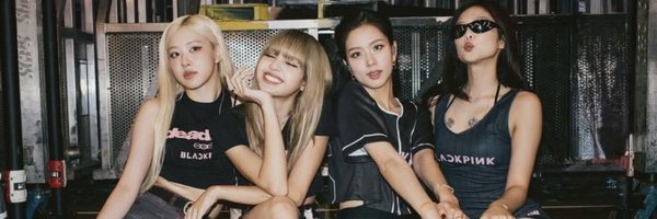 _blinks4pinks Profile Banner
