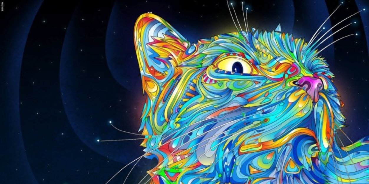 twerknswerve's profile banner image