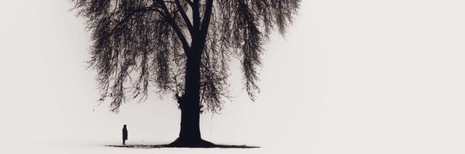F.. banner