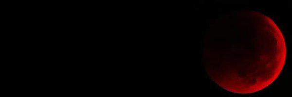 sweetycherrycat Profile Banner