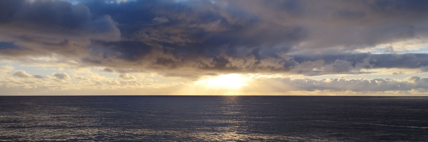 dloyola6's profile banner image