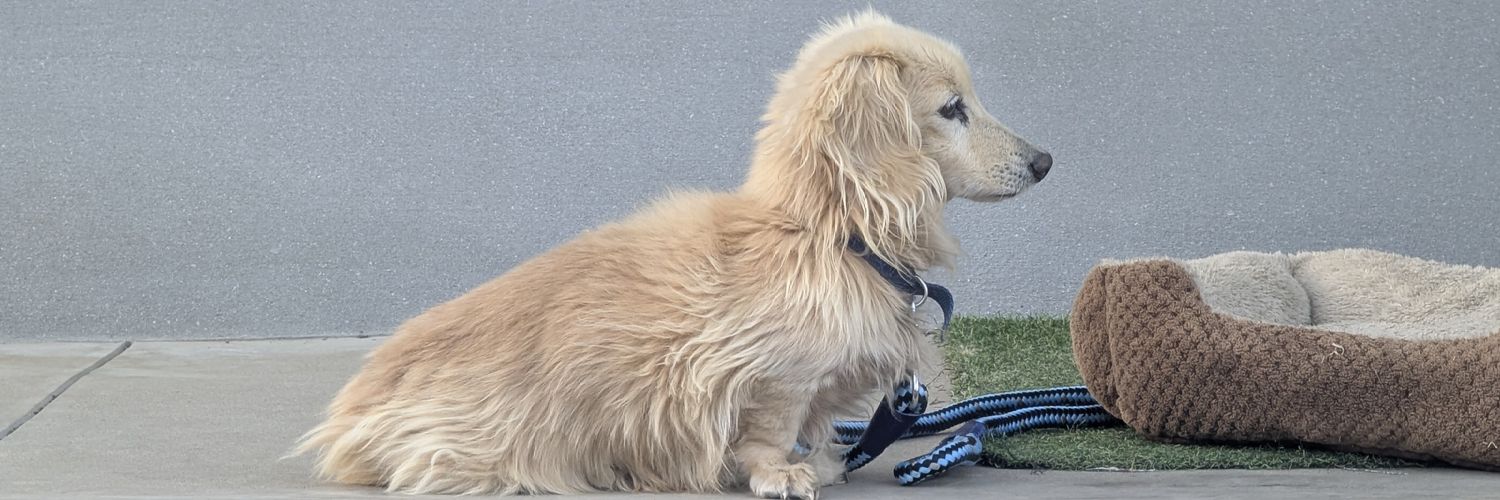 えらいHirokin banner