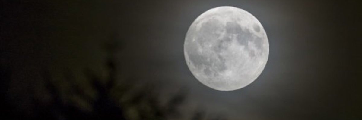 bukeleq's profile banner image