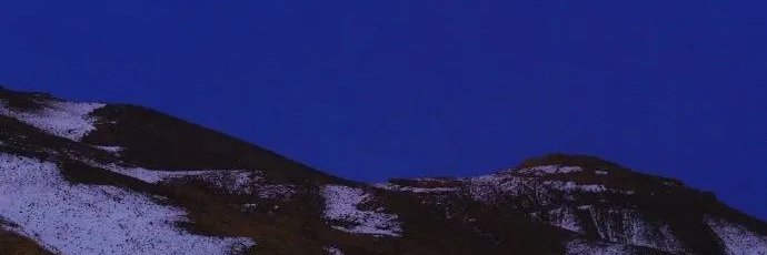 旺財小龍蝦 banner