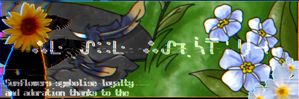 VinylVanished's profile banner image