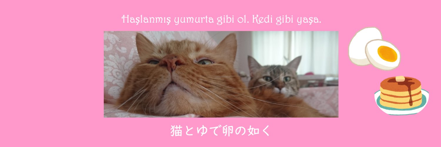 ryaryako's profile banner image