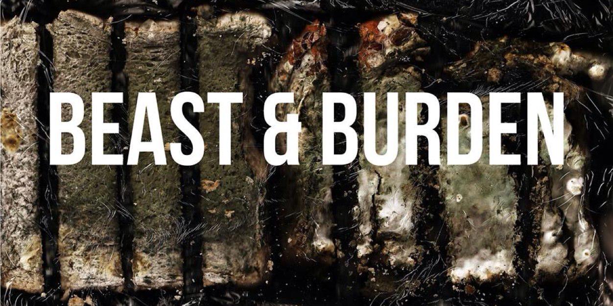 BeastandBurden's profile banner image