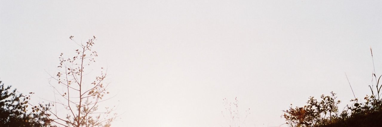 __Rhodamo's profile banner image