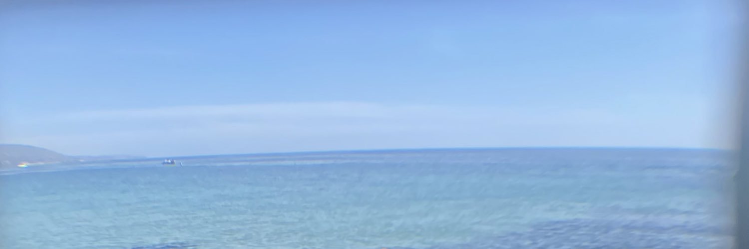 🐠 banner