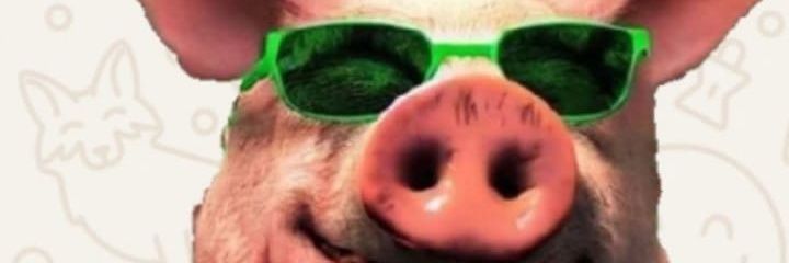 giovanopsico's profile banner image