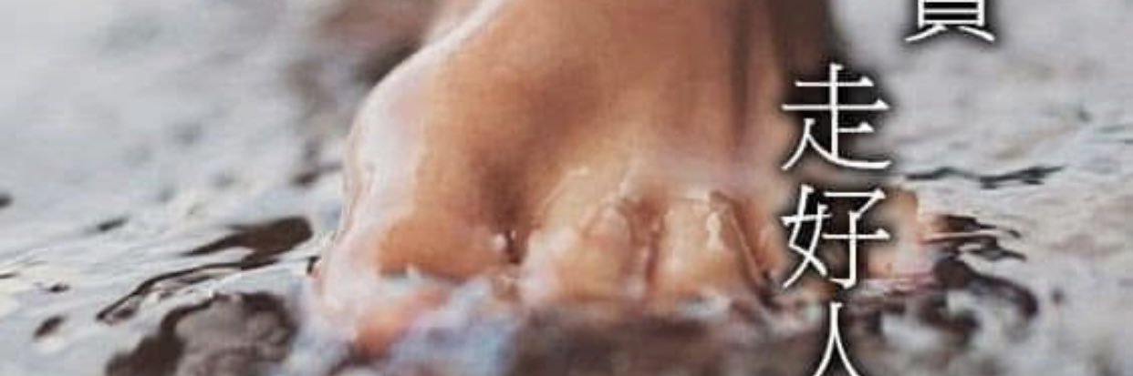 Observador Global banner