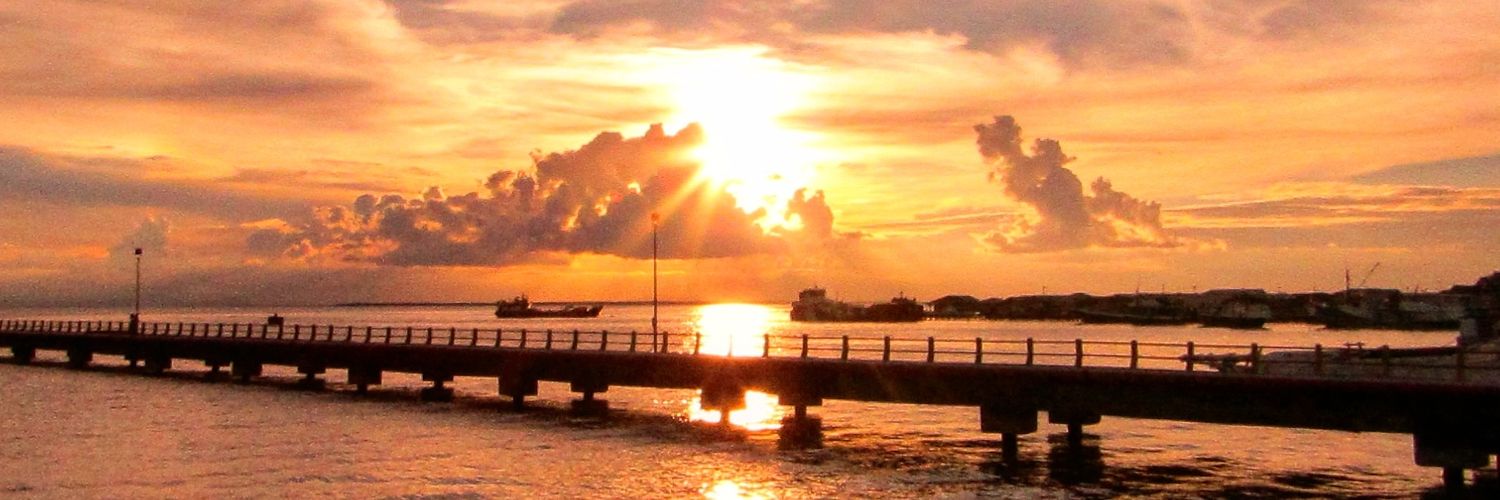 ilyasricky's profile banner image
