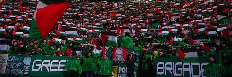 St.D 🏴󠁧󠁢󠁳󠁣󠁴󠁿 🇮🇪 🇵🇸 banner