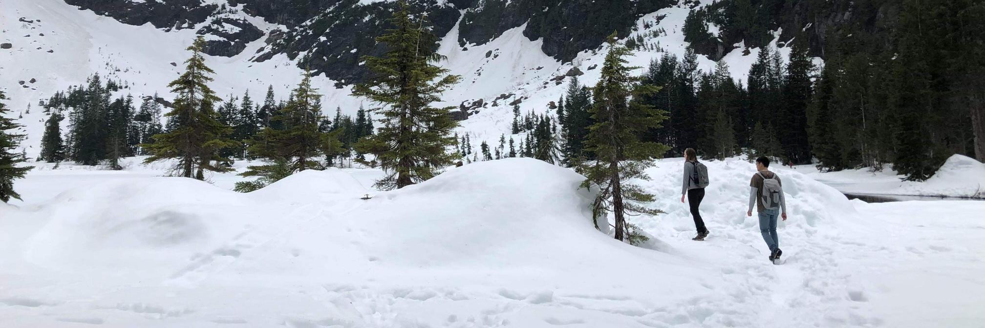 christine betts banner