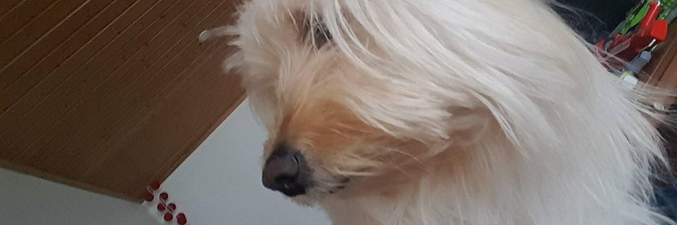NasiusT's profile banner image