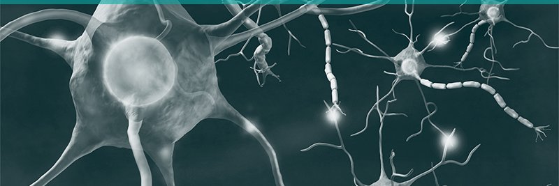 Science on Screen Ireland banner