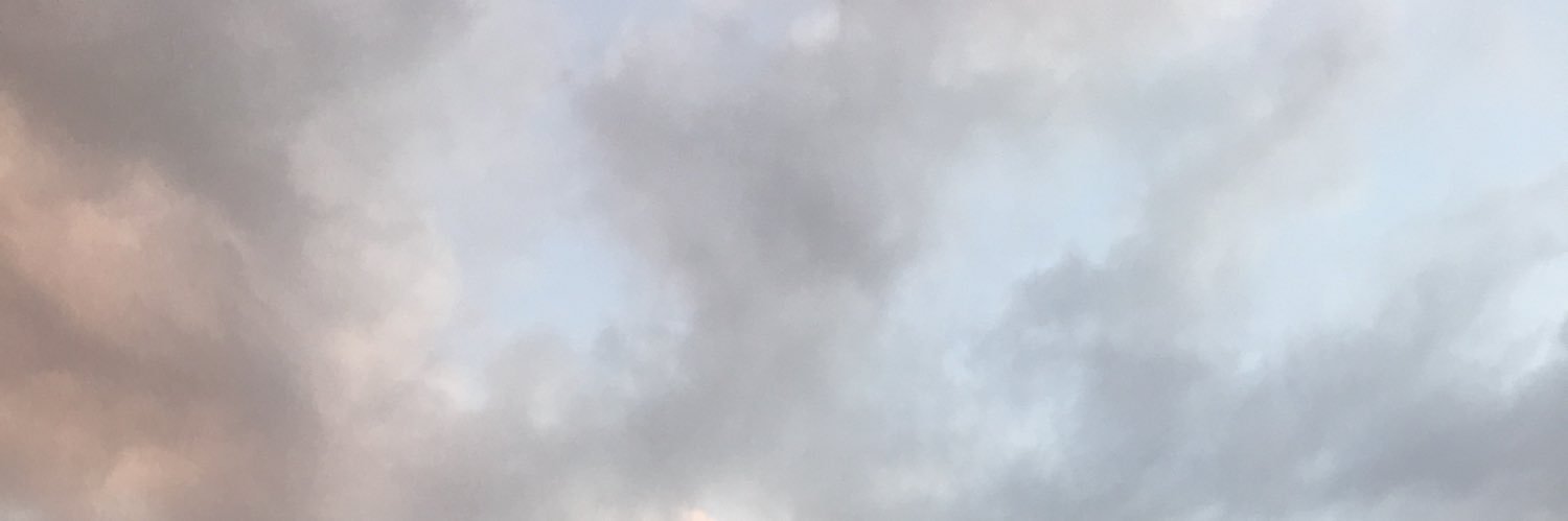 reginahema's profile banner image
