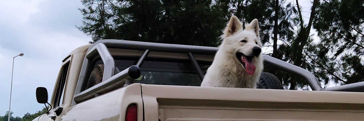 BaffaFran's profile banner image