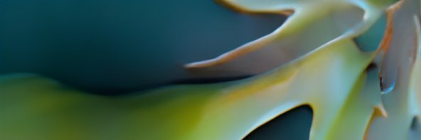 krpeszek's profile banner image